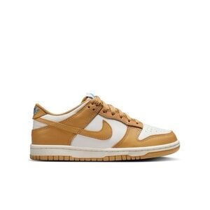 Nike Dunk Kids Honeycomb and Sail Sneakers